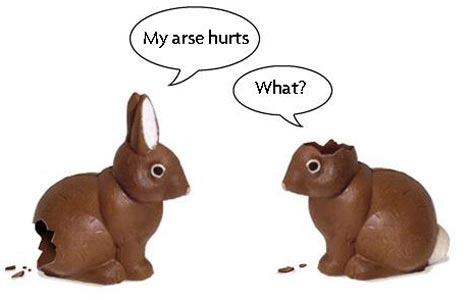 silly chocolate bunnies
