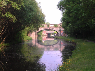 some bridges