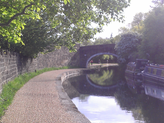 canal near Fallwood Marina 1